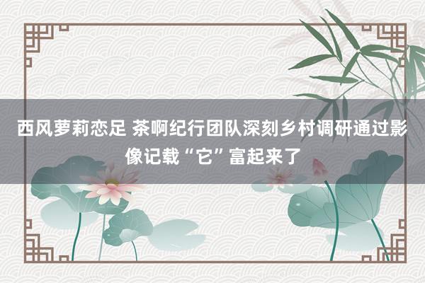 西风萝莉恋足 茶啊纪行团队深刻乡村调研通过影像记载“它”富起来了