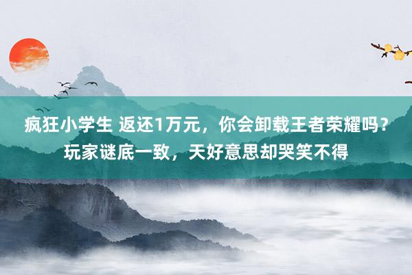 疯狂小学生 返还1万元，你会卸载王者荣耀吗？玩家谜底一致，天好意思却哭笑不得