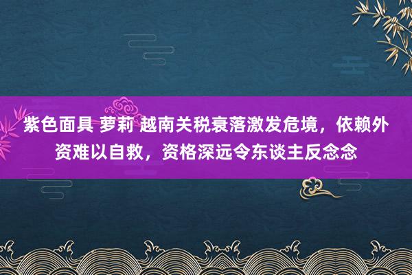 紫色面具 萝莉 越南关税衰落激发危境，依赖外资难以自救，资格深远令东谈主反念念