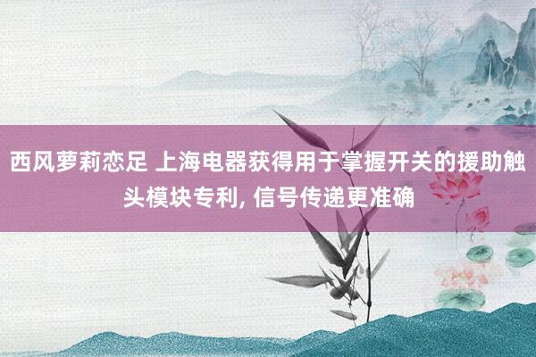 西风萝莉恋足 上海电器获得用于掌握开关的援助触头模块专利， 信号传递更准确