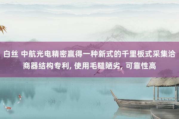 白丝 中航光电精密赢得一种新式的千里板式采集洽商器结构专利， 使用毛糙陋劣， 可靠性高