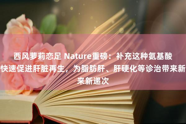 西风萝莉恋足 Nature重磅：补充这种氨基酸，可快速促进肝脏再生，为脂肪肝、肝硬化等诊治带来新递次