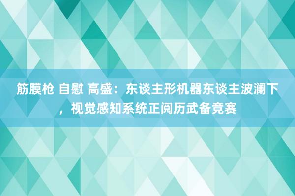筋膜枪 自慰 高盛：东谈主形机器东谈主波澜下，视觉感知系统正阅历武备竞赛
