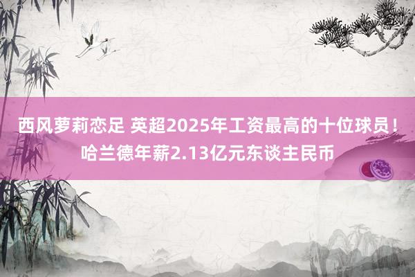西风萝莉恋足 英超2025年工资最高的十位球员！哈兰德年薪2.13亿元东谈主民币